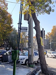 مطب دکتر علیرضا روزبیگی
