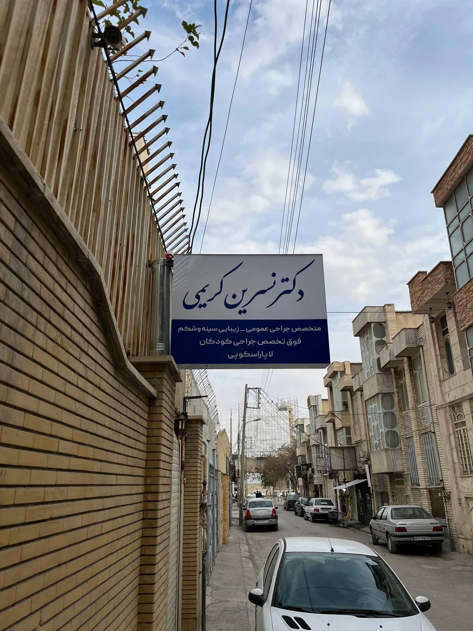 دکتر نسرین کریمی - تصویر 2