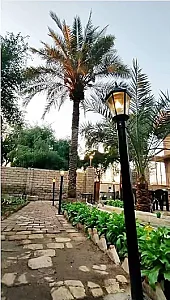 هتل کافه قو
