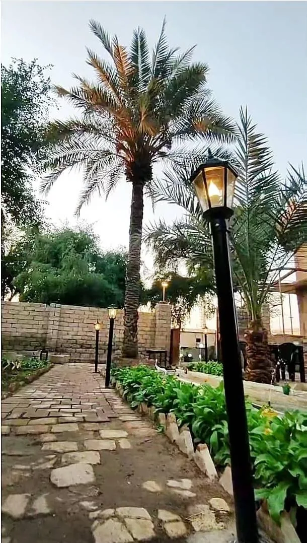 هتل کافه قو