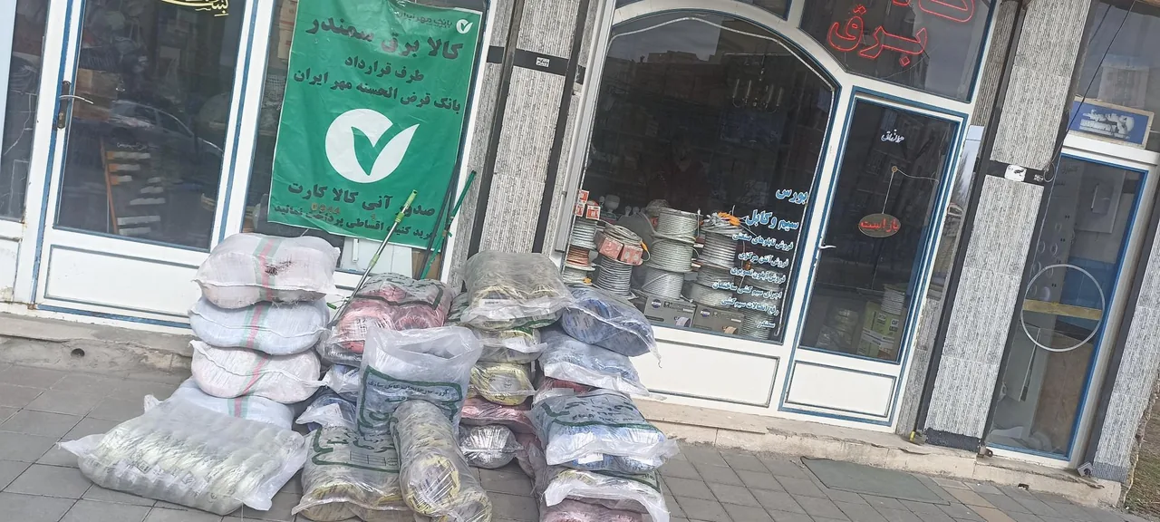 کالا برق سمندر - تصویر 5