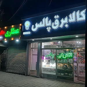 الکتریکی پالس
