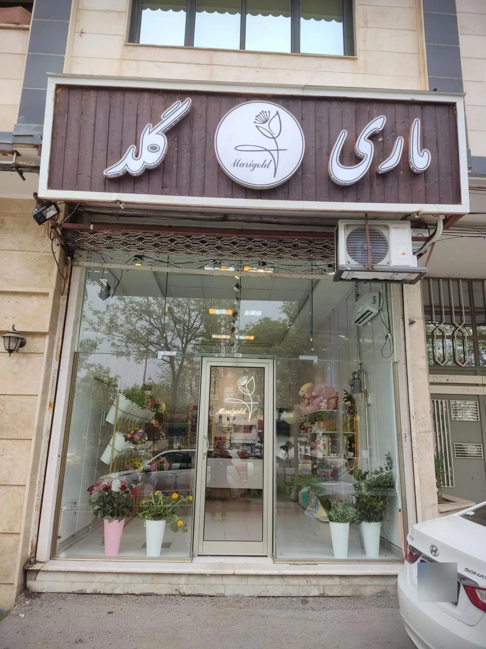 گلفروشی ماری گلد