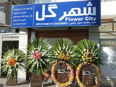 شهر گل