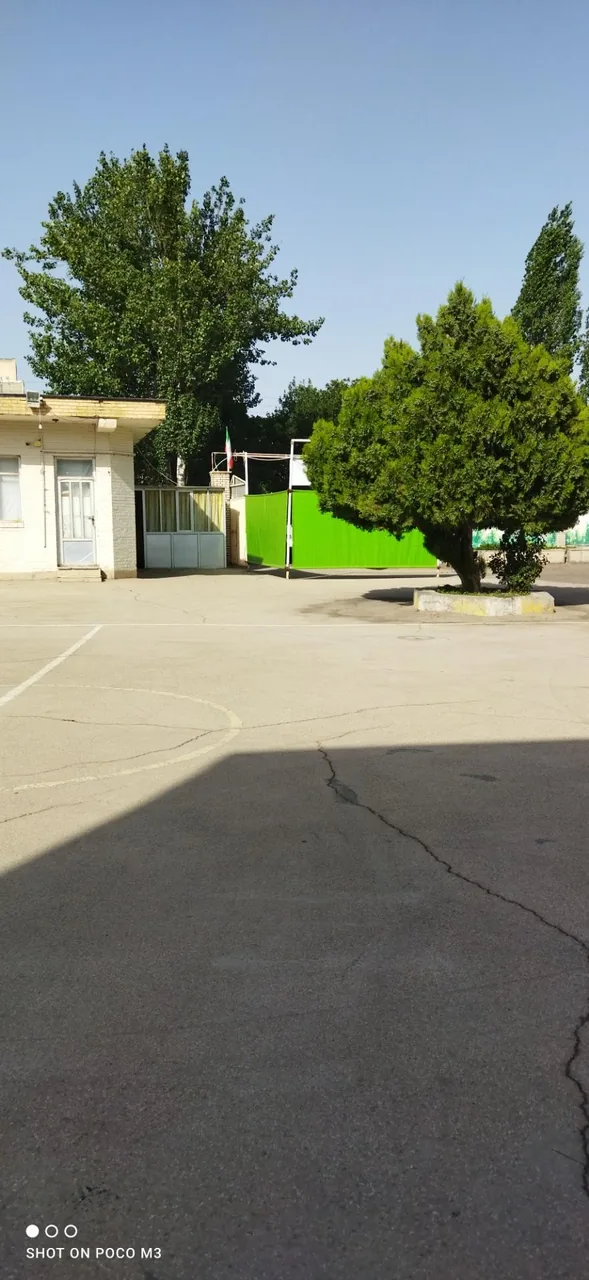 دبیرستان دخترانه شهید جعفر جهازی (شاهد) - تصویر 5