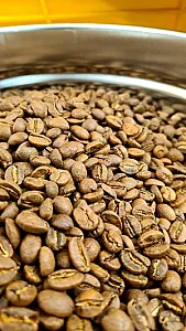 آکوکافه