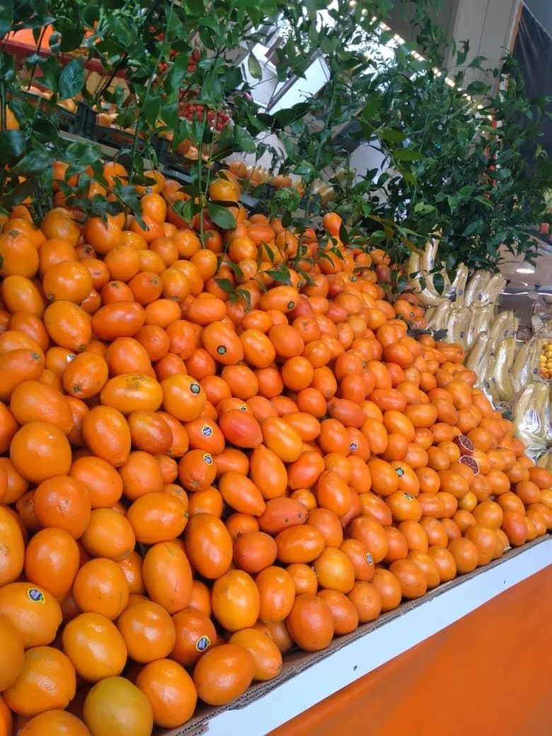سوپر میوه شهر - تصویر 2