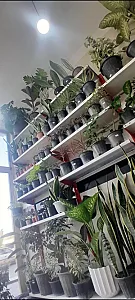 گلکده باغ بهشت