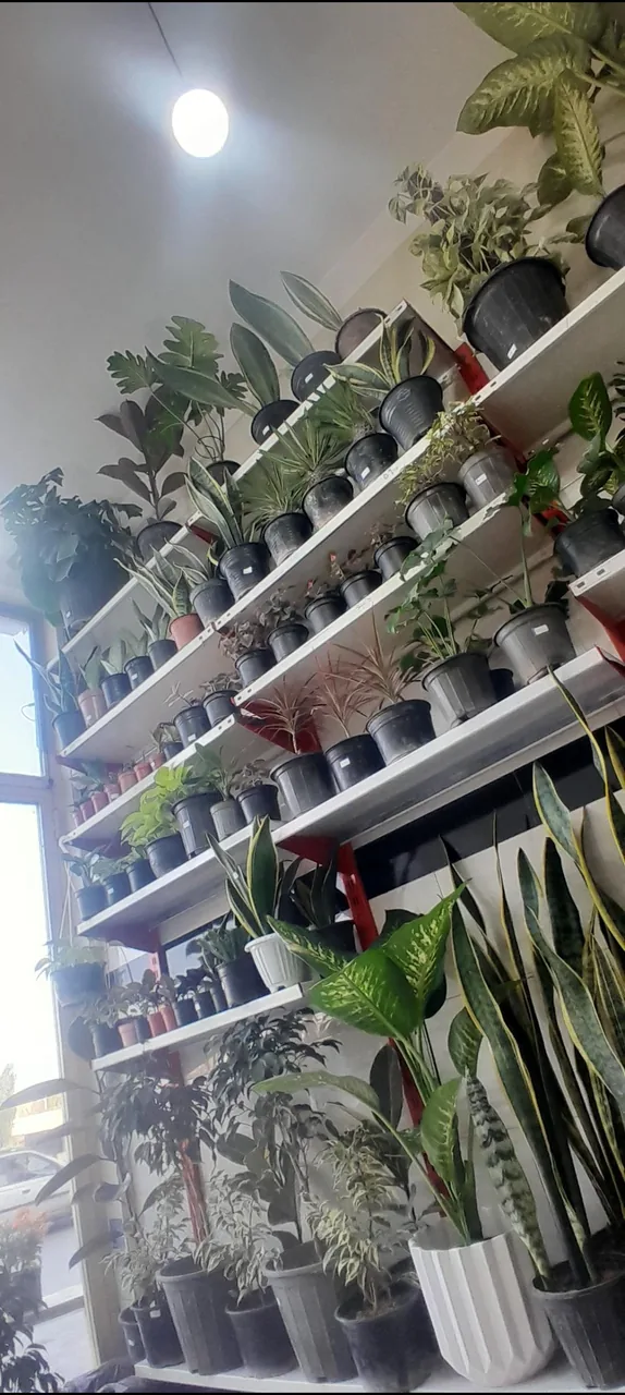 گلکده باغ بهشت