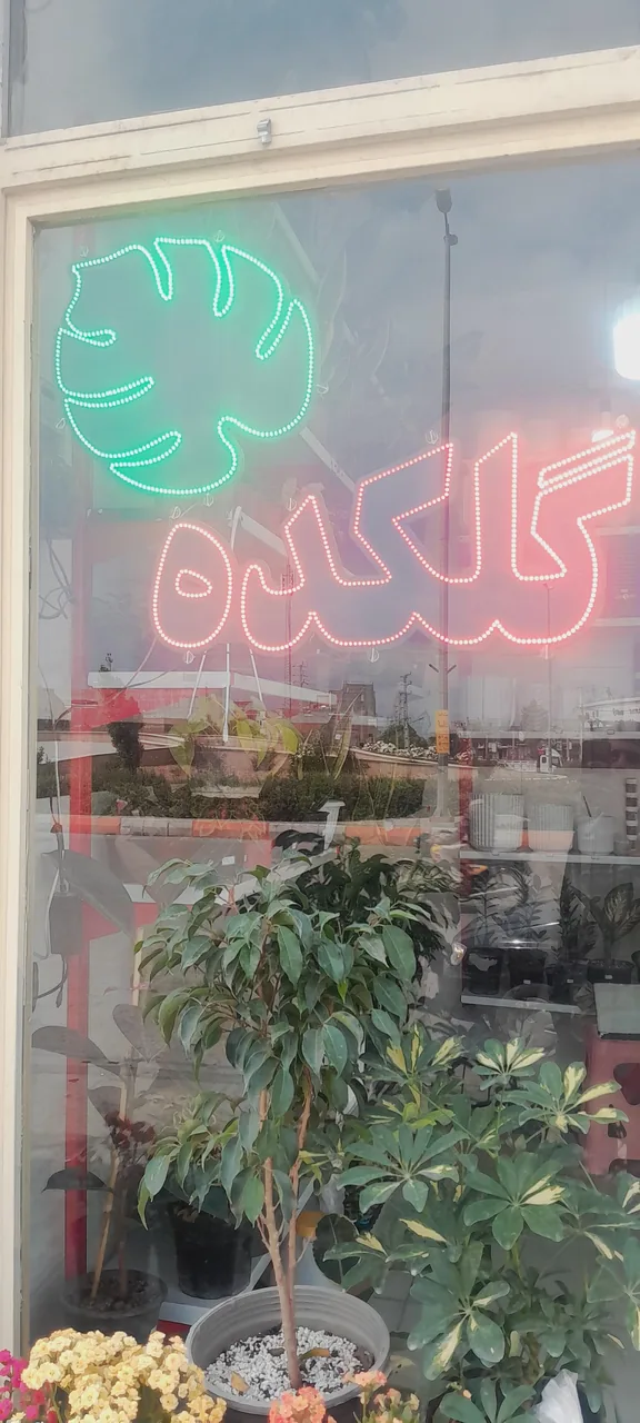 گلکده باغ بهشت - تصویر 2