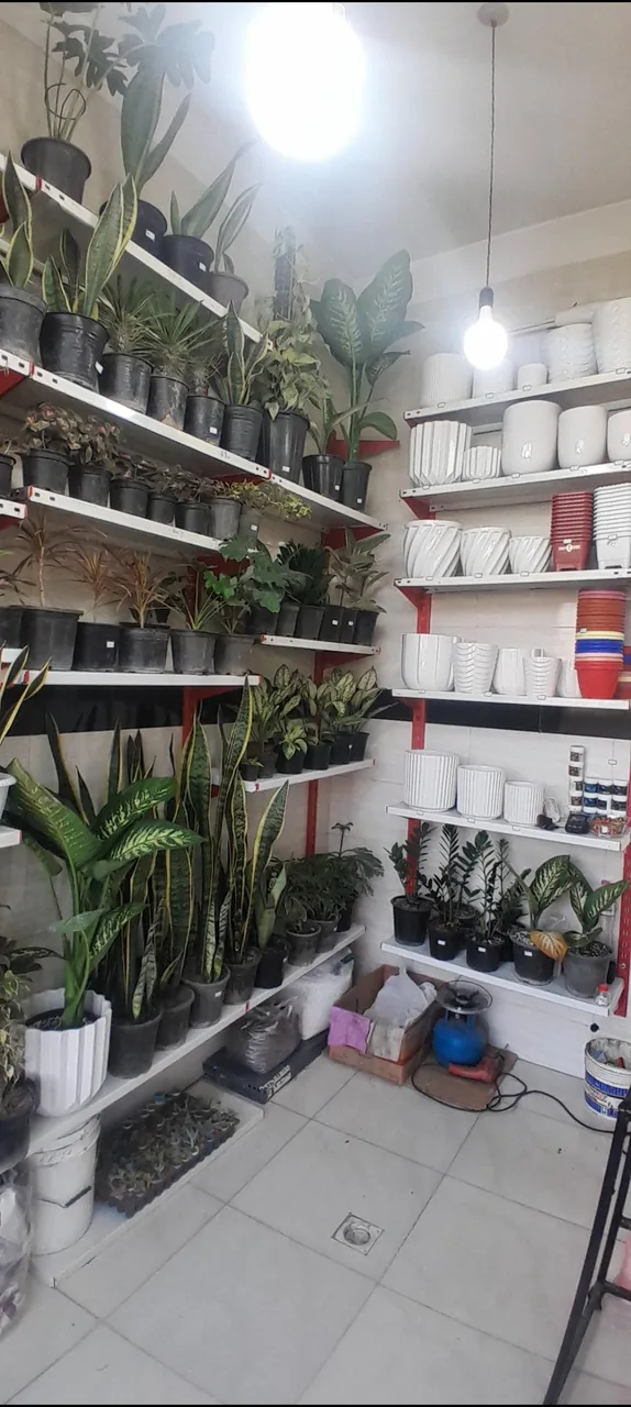 گلکده باغ بهشت - تصویر 3