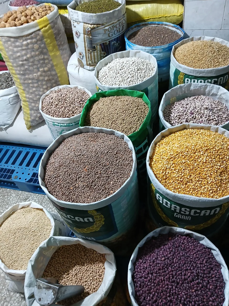 حبوبات دهکده سبز - تصویر 4