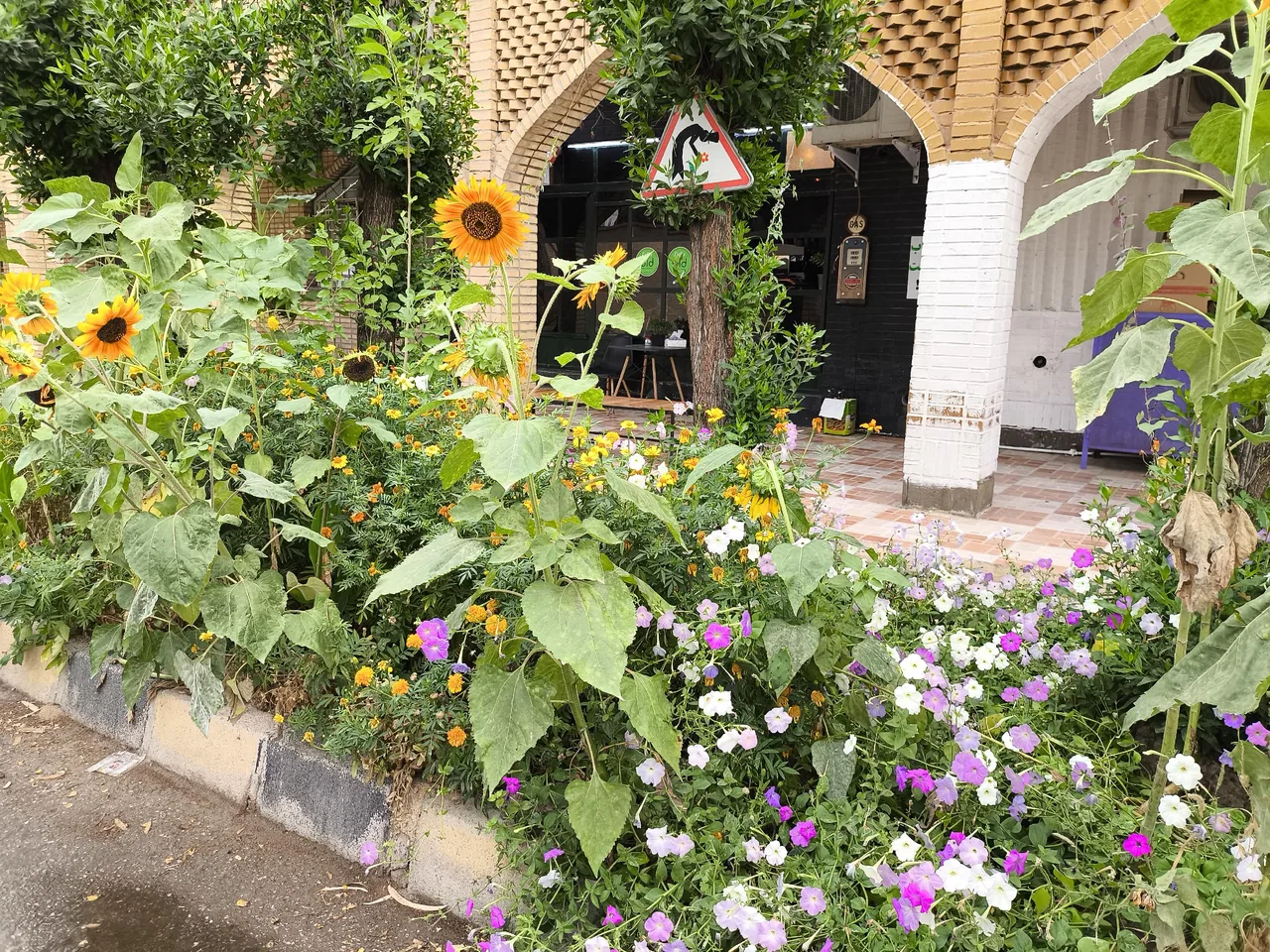 کافه بید