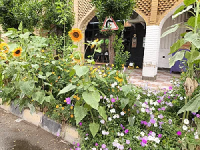 کافه بید