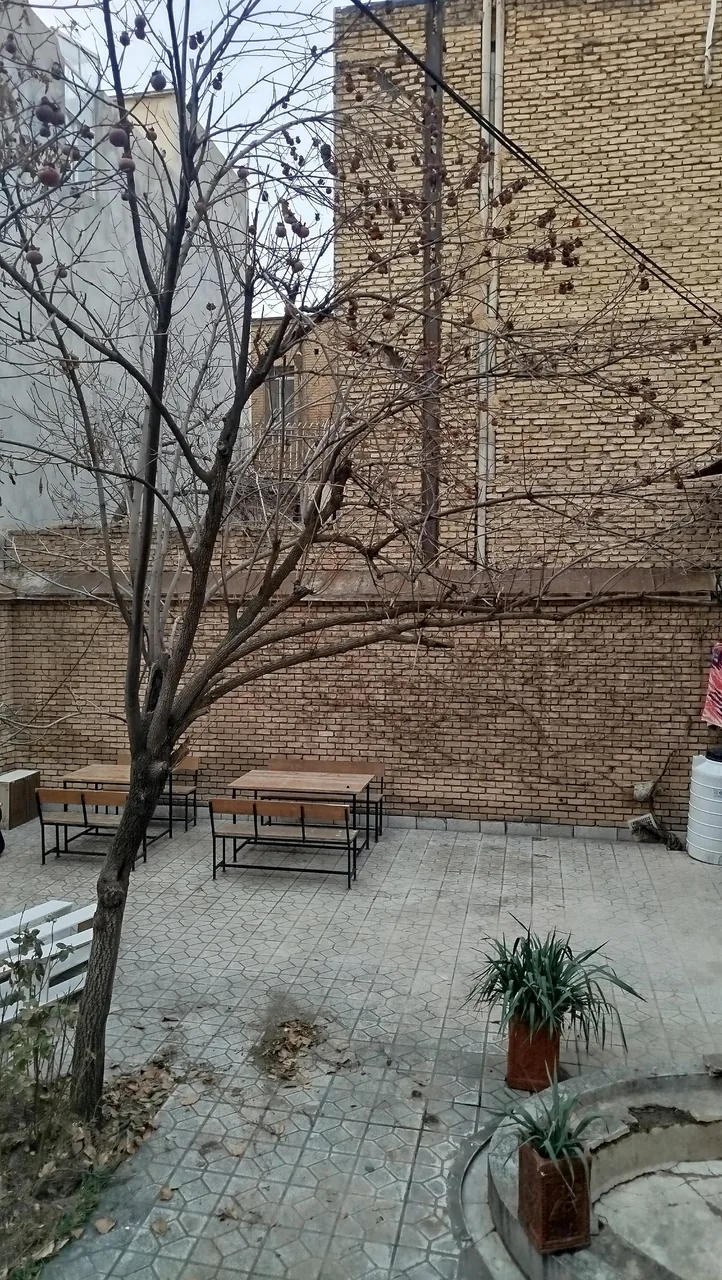هاستل بلوط - تصویر 5