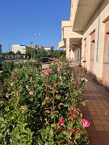 بیمارستان امام رضا (ع)
