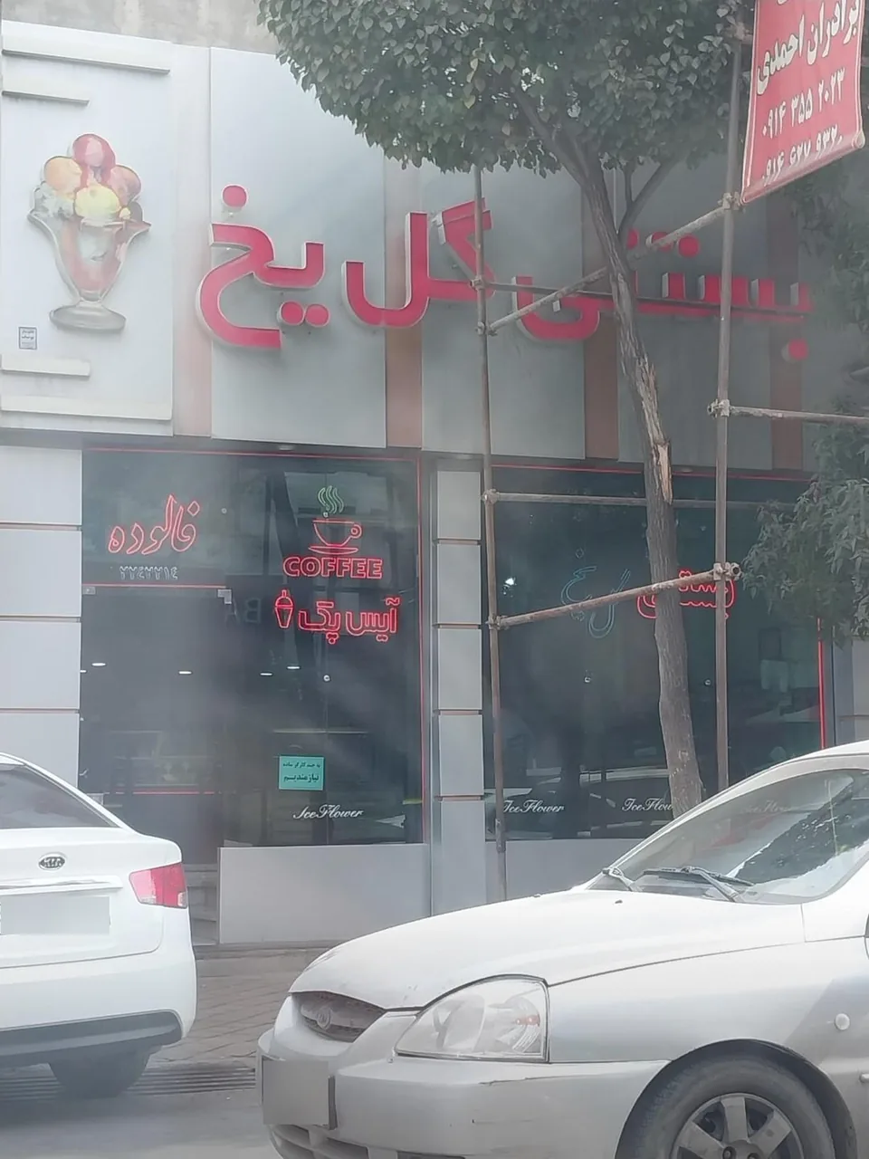 بستنی گل یخ - تصویر 2