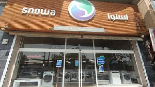 الکترو ثابت