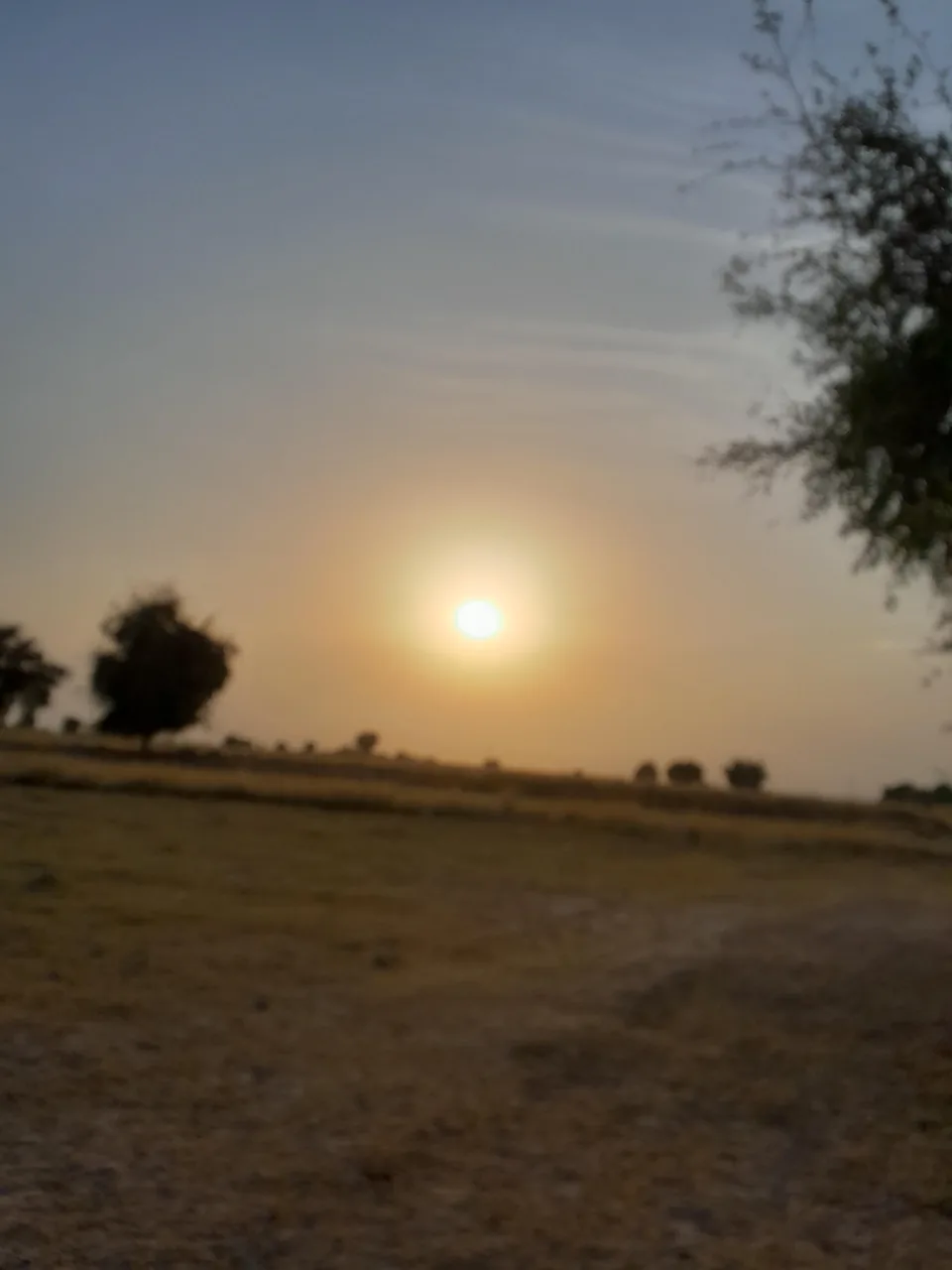 کافه-باغ-دهکده - تصویر 4