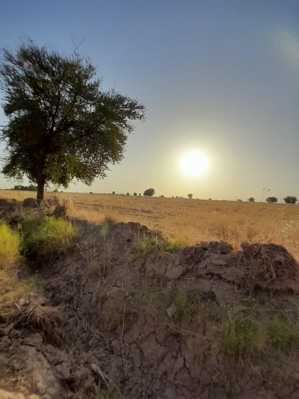 کافه-باغ-دهکده - تصویر 6