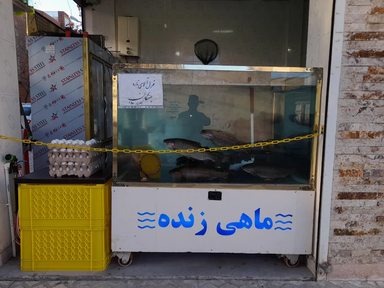 مرغ وماهی زنده فروشی رضا - تصویر 2