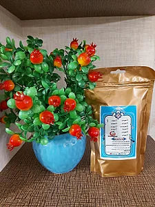 فروشگاه سویق پروانه
