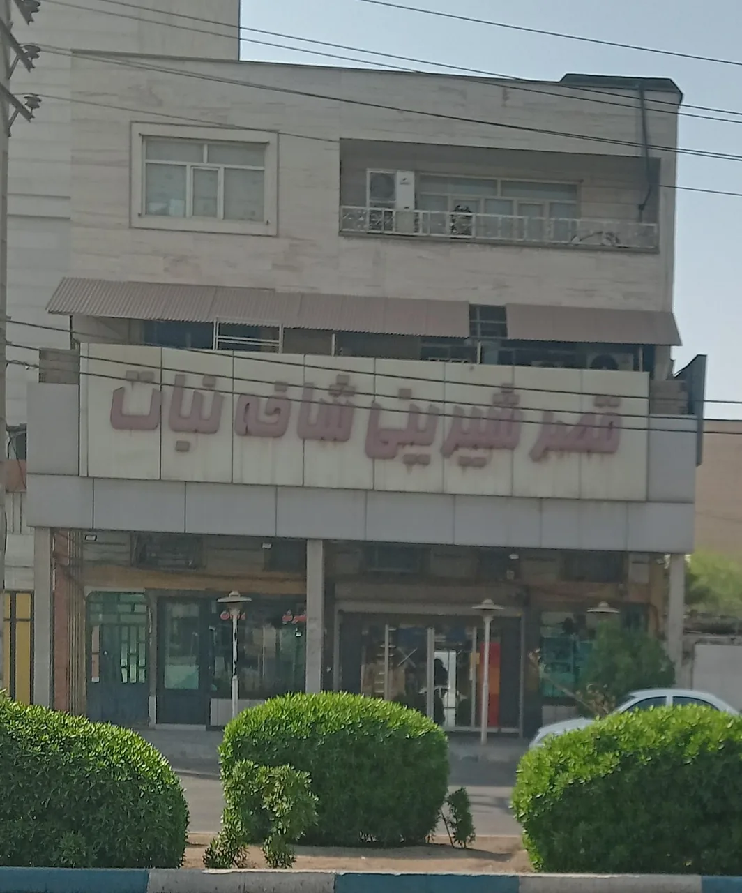شیرینی سرای شاخه نبات - تصویر 3