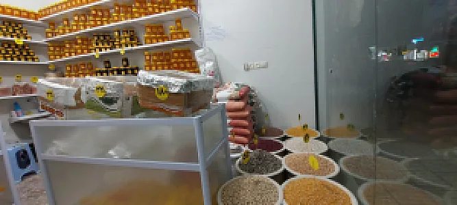 آجیل و خشکبار ناتسی