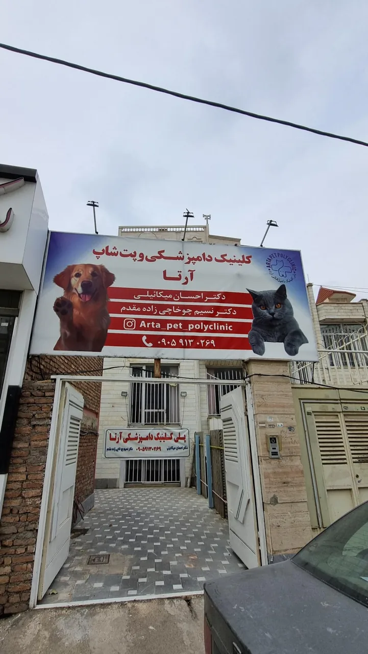 پلی کلینیک دامپزشکی حیوانات خانگی آرتا - تصویر 2