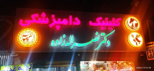 کلینیک دامپزشکی دکتر نصر الله زاده