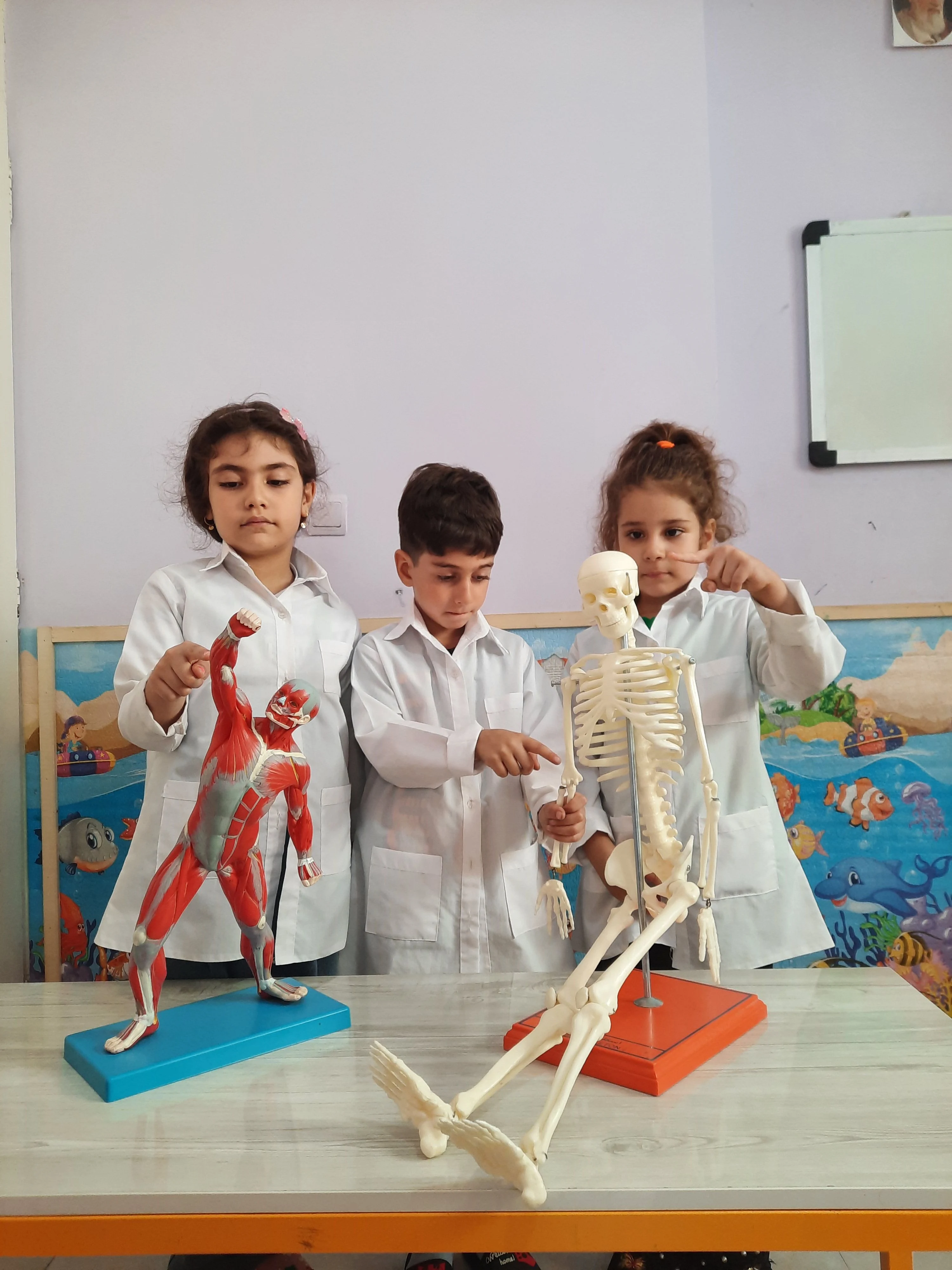 کودکستان هوش و‌خلاقیت اندیشه کیان