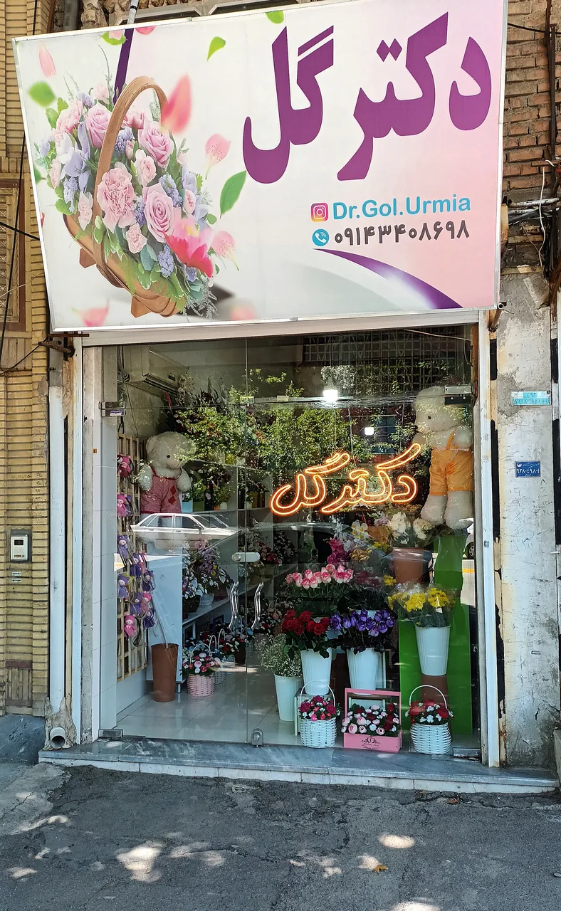 دکتر گل ارومیه