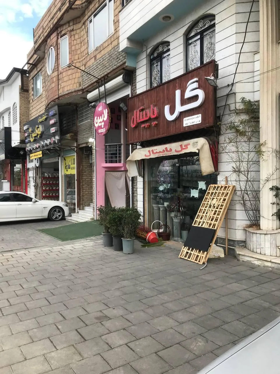 گل پاپیتال - تصویر 3