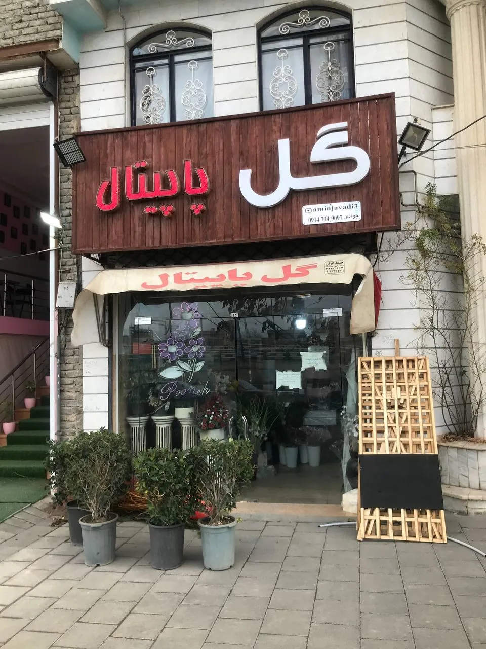 گل پاپیتال - تصویر 4