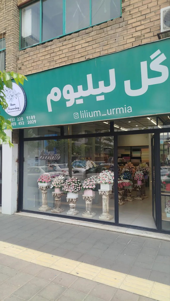 گل فروشی لیلیوم - گل‌فروشی در ارومیه - تصویر 4