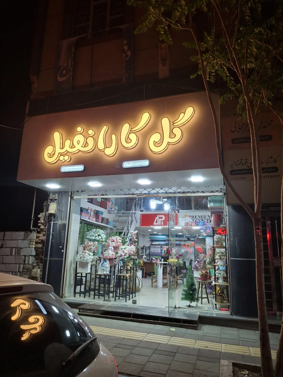 گل کارانفیل - گل‌فروشی در ارومیه - تصویر 5