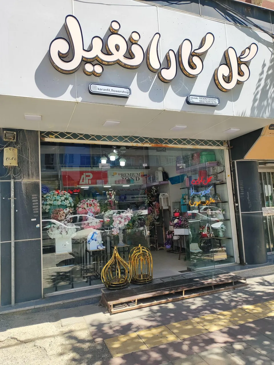 گل کارانفیل - گل‌فروشی در ارومیه - تصویر 6