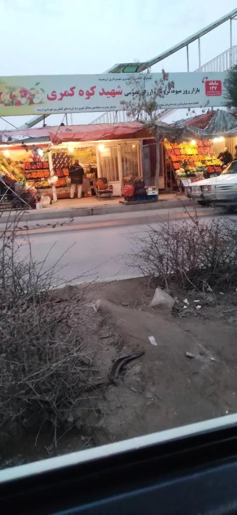 فروشگاه میوه بارسلون - تصویر 2