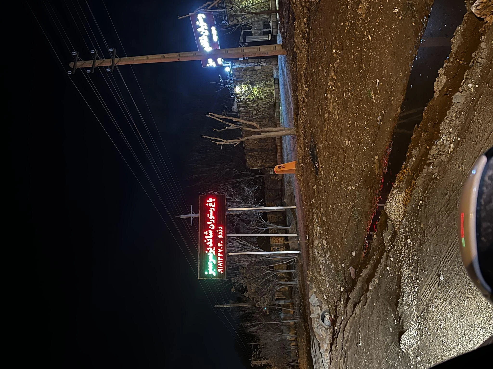رستوران شاندیز سرسبز - تصویر 3