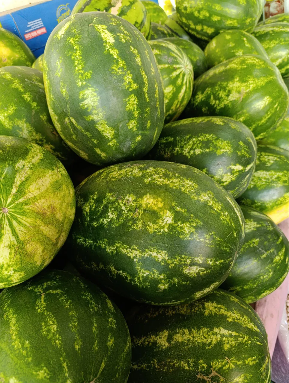 سوپر میوه آذر بایجان - تصویر 2