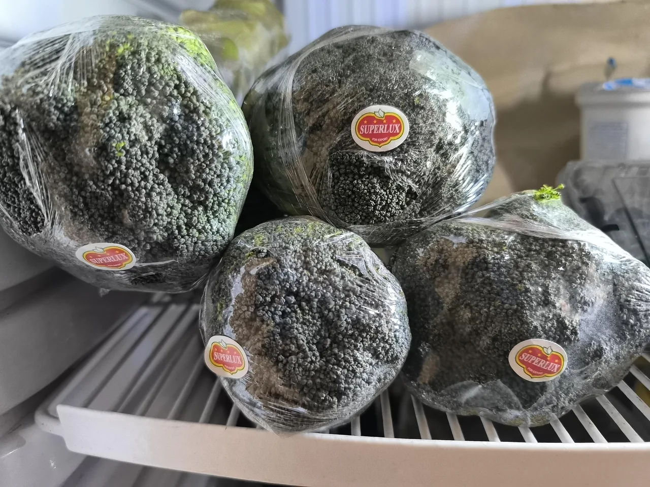 میوه و سبزی پاسارگاد