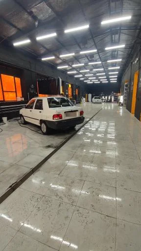 دیتیلینگ باغی