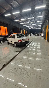دیتیلینگ باغی