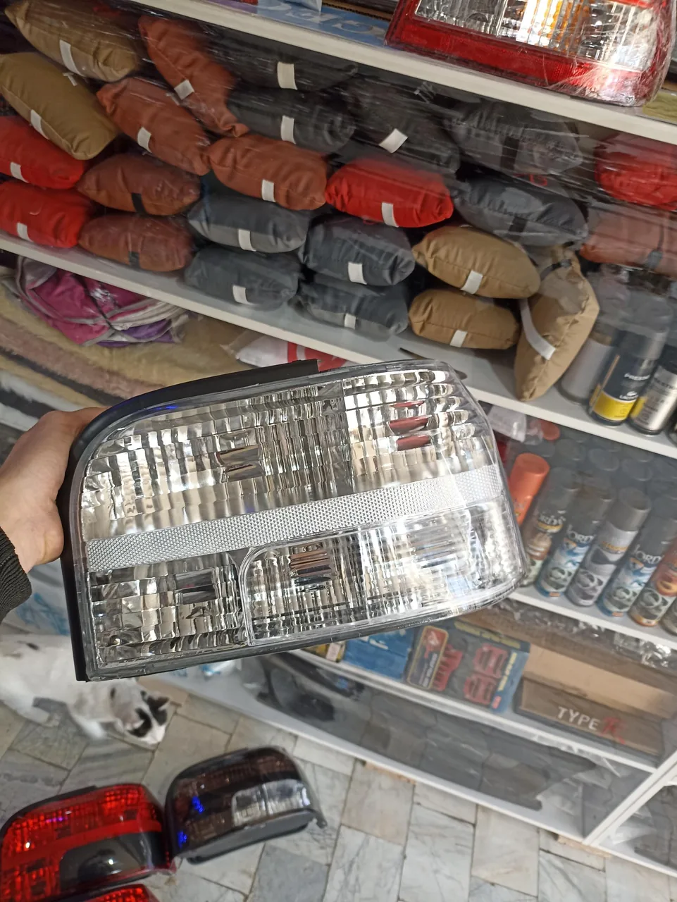 اسپرت آرین
