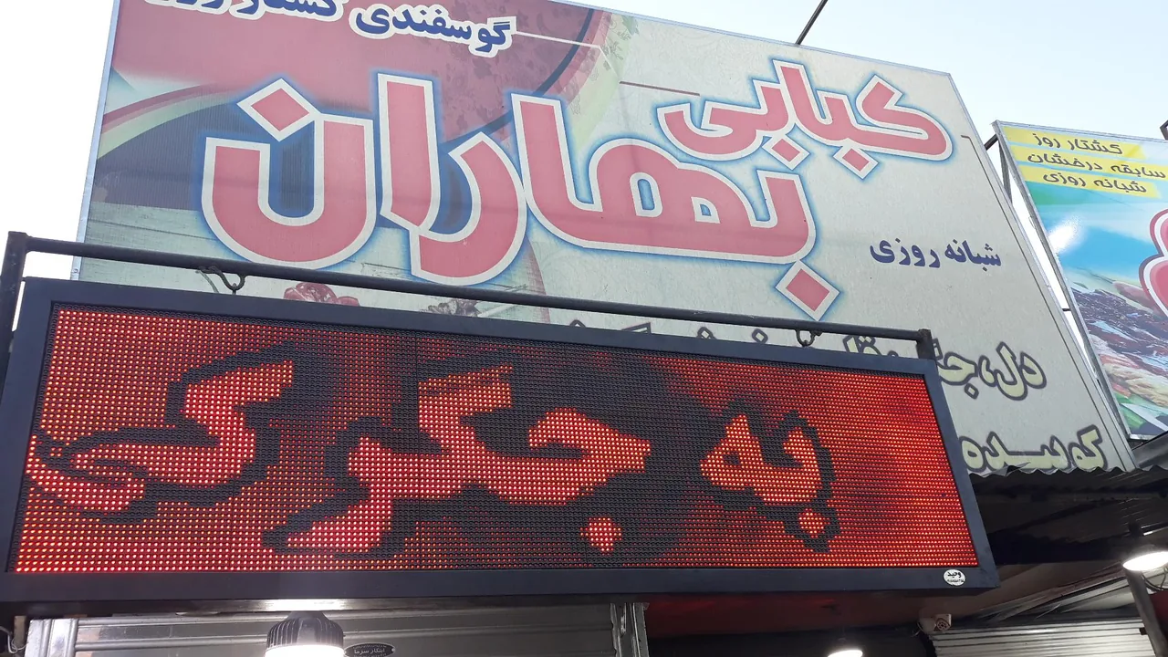 جگرگی بهاران زنگنه - تصویر 3