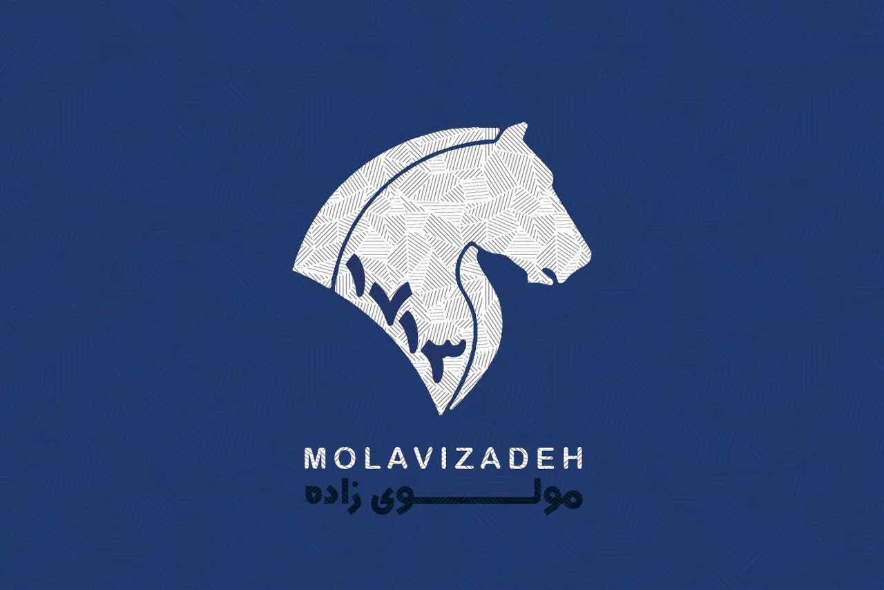 ایران خودرو 1713 مولوی زاده - تصویر 2