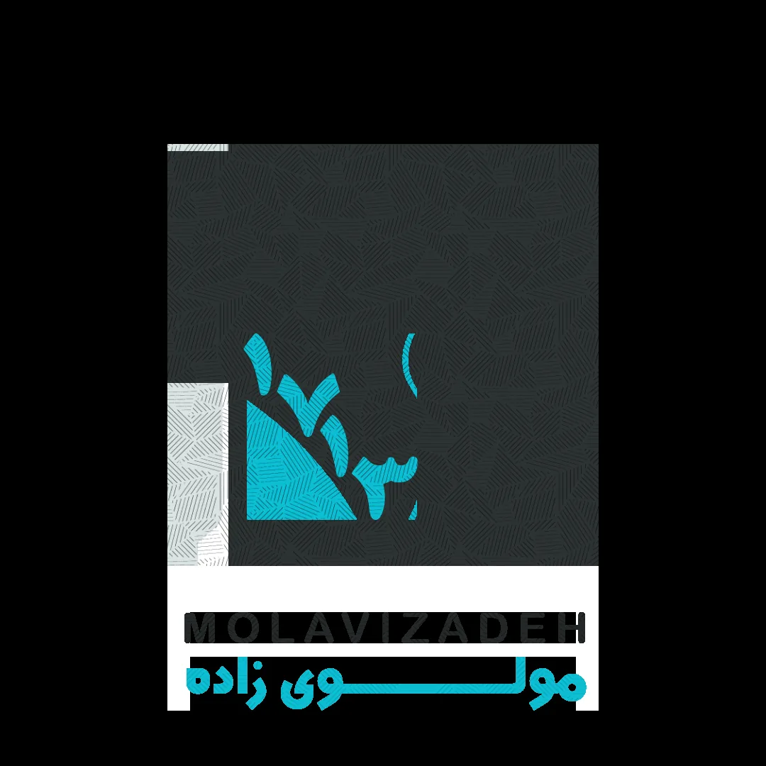 ایران خودرو 1713 مولوی زاده - تصویر 3