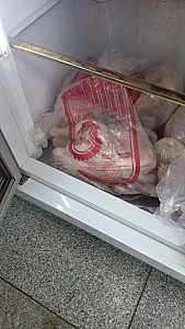 دکتر بوقلمون فرشید