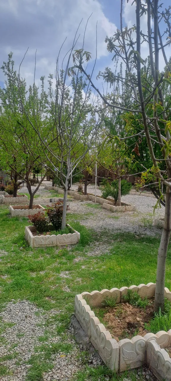 کافه ونیز