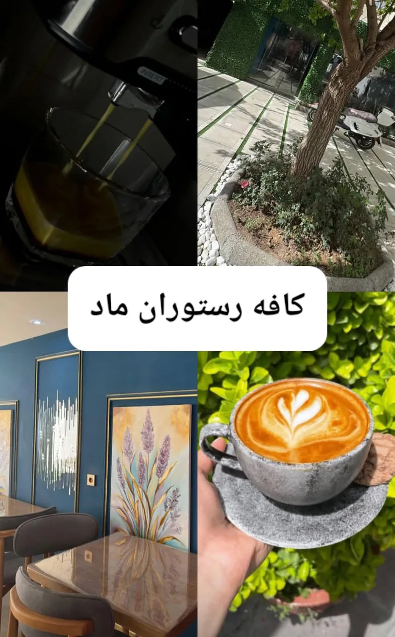 کافه رستوران ماد - تصویر 4